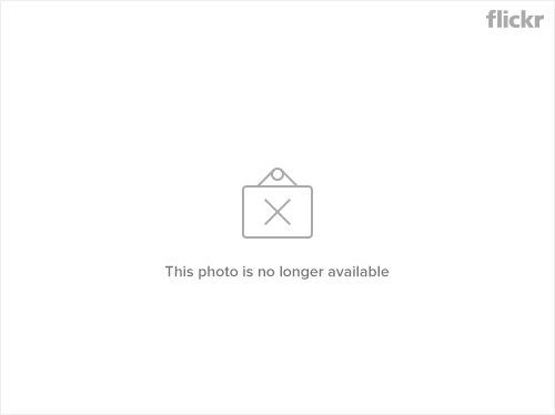 click to enlarge the image