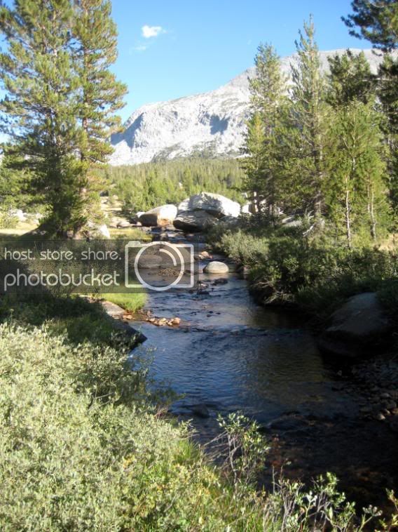 click to enlarge the image