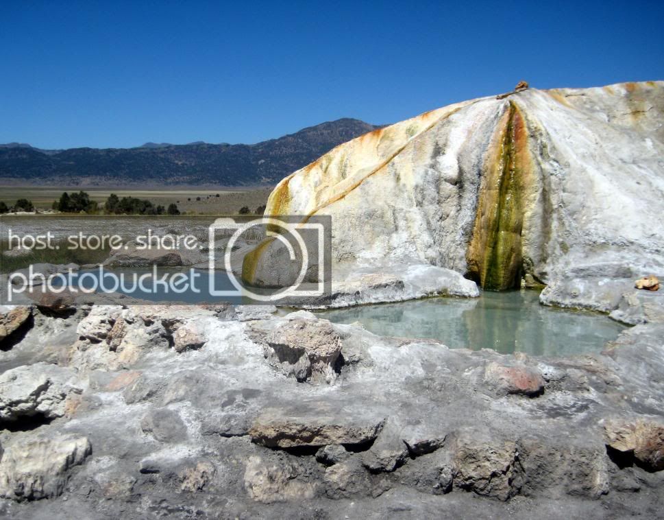 click to enlarge the image